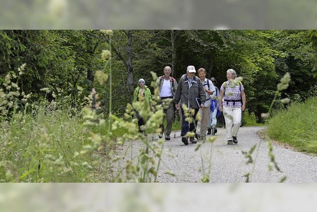 WIR BER UNS: Die Heimat unter den Sohlen