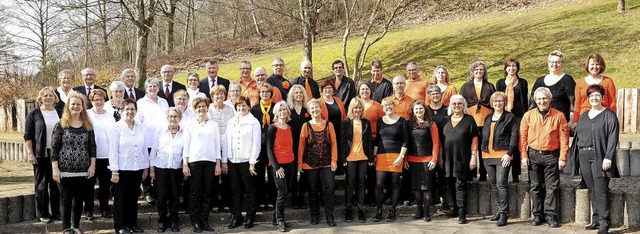 125 Jahre Musik- und Gesangverein  &#8...onswald, hier das aktuelle  Ensemble.   | Foto: Mgv
