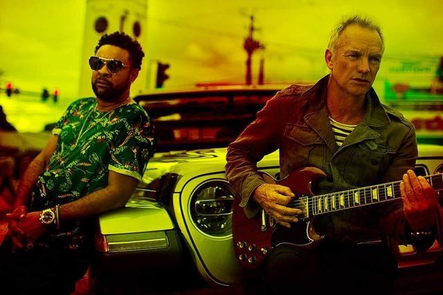 Reggae plus Pop: Das neue Album von Sting und dem Jamaikaner Shaggy