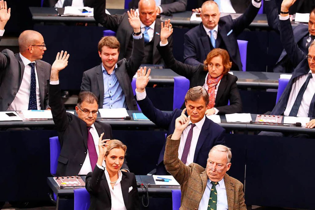 Wie waren eigentlich die letzten siebe...ku &#8222;Die AfD im Bundestag&#8220;.  | Foto: dpa
