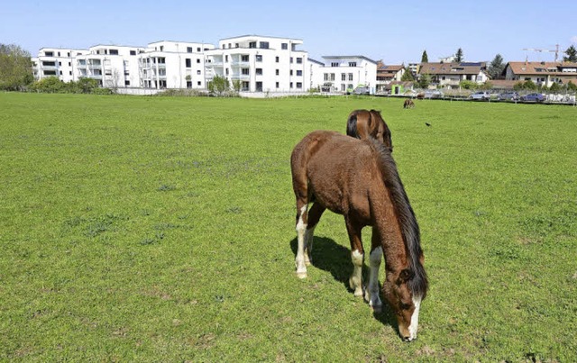 Die neuen Huser sind deutlich grer ...nachbarte Bebauung (Blick aus Sden).   | Foto: Ingo Schneider