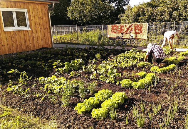 Auch ein Gartenprojekt gehrt zu den A...chtlings-Helferkreises in Mundingen.   | Foto: Privat