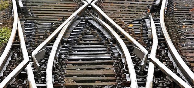 Die Bahninfrastruktur stand im Zentrum...narversammlung der Regio Basiliensis.   | Foto: dpa