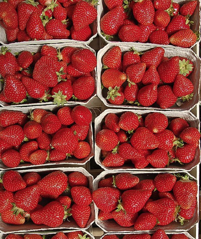 Erdbeeren und Spargel sind Thema eines Workshops.   | Foto: Seller