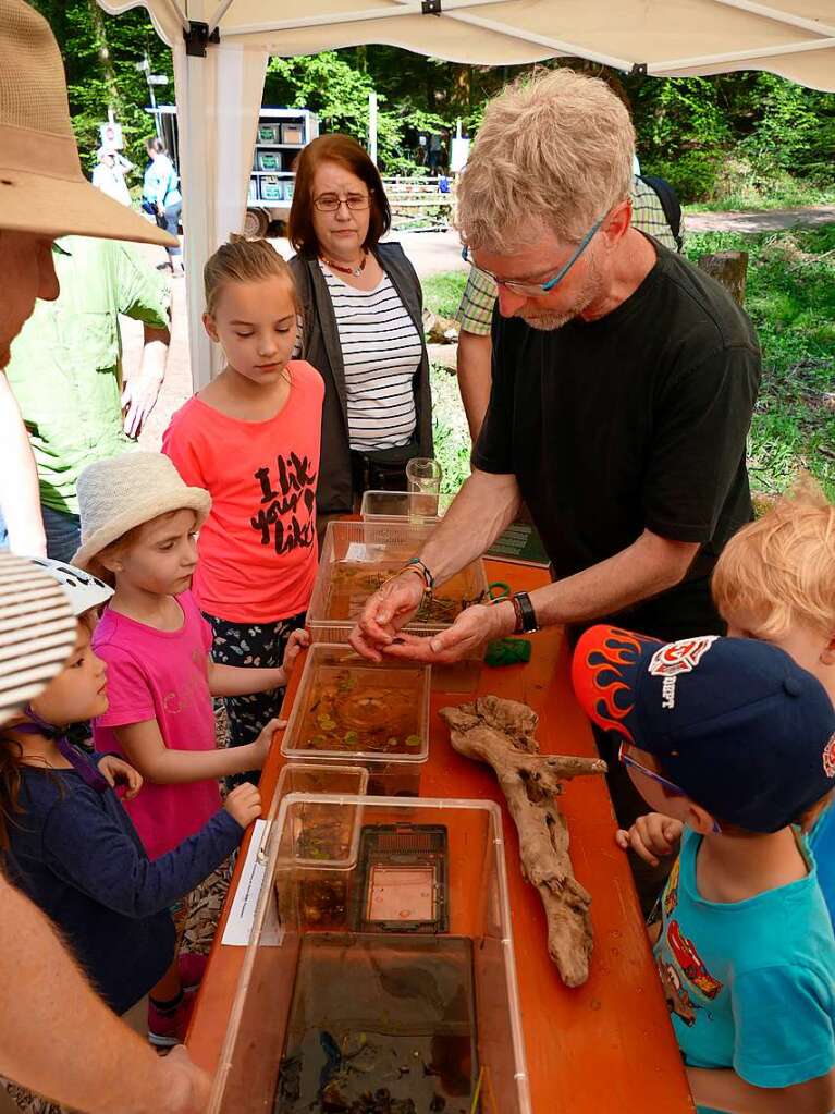 Im Rahmen der Heimattage Baden-Wrttemberg in Waldkirch fand im Wald beim Schtzenhaus Buchholz ein Waldtag mit mehr als 20 Stationen statt.