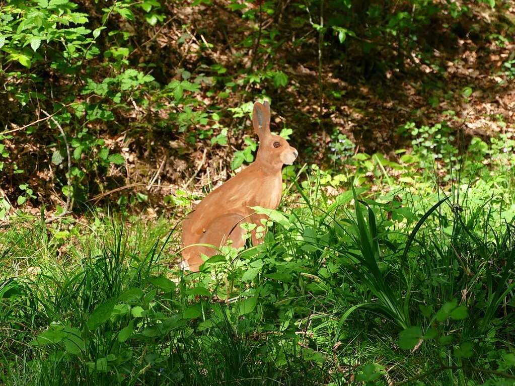 Im Rahmen der Heimattage Baden-Wrttemberg in Waldkirch fand im Wald beim Schtzenhaus Buchholz ein Waldtag mit mehr als 20 Stationen statt.