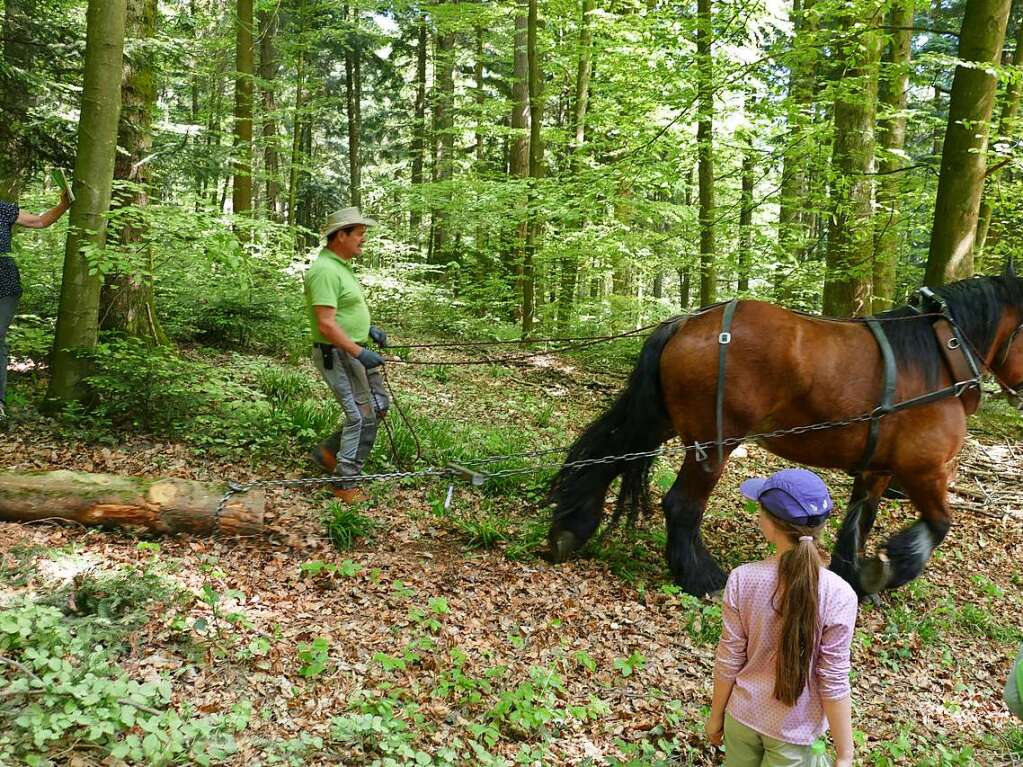 Im Rahmen der Heimattage Baden-Wrttemberg in Waldkirch fand im Wald beim Schtzenhaus Buchholz ein Waldtag mit mehr als 20 Stationen statt.