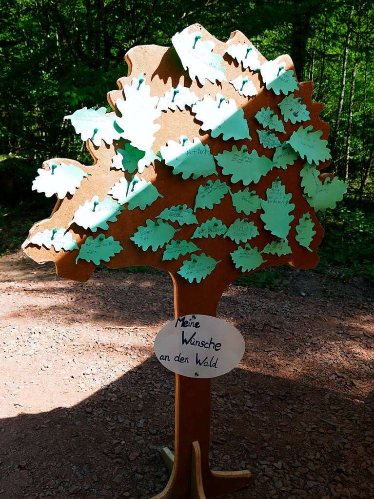 Im Rahmen der Heimattage Baden-Wrttemberg in Waldkirch fand im Wald beim Schtzenhaus Buchholz ein Waldtag mit mehr als 20 Stationen statt.