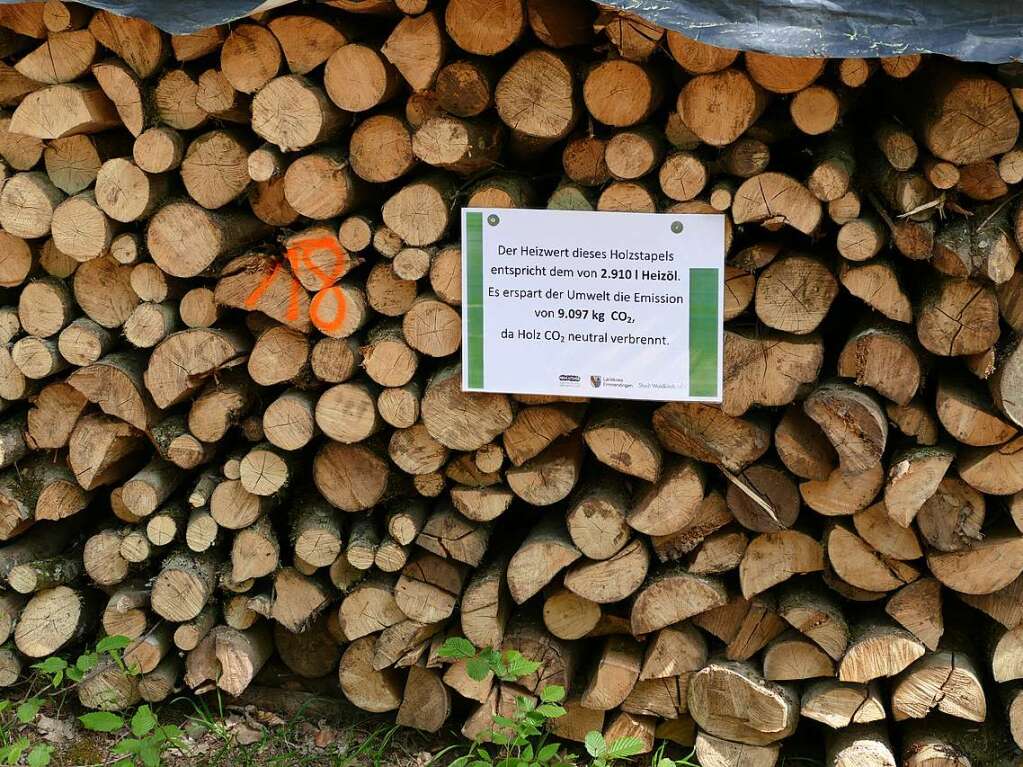 Im Rahmen der Heimattage Baden-Wrttemberg in Waldkirch fand im Wald beim Schtzenhaus Buchholz ein Waldtag mit mehr als 20 Stationen statt.