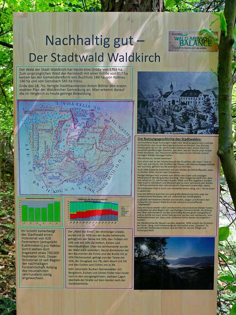 Im Rahmen der Heimattage Baden-Wrttemberg in Waldkirch fand im Wald beim Schtzenhaus Buchholz ein Waldtag mit mehr als 20 Stationen statt.