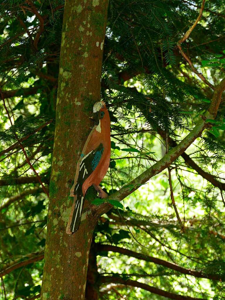 Im Rahmen der Heimattage Baden-Wrttemberg in Waldkirch fand im Wald beim Schtzenhaus Buchholz ein Waldtag mit mehr als 20 Stationen statt.