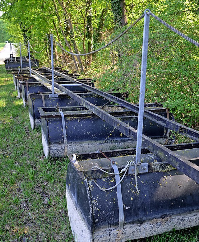 An Land liegt derzeit die vom Hochwass...strte Steganlage des Wasserskiclubs.   | Foto: Roland Vitt