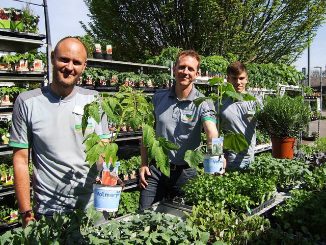 Die Mitarbeiter der ZG Raiffeisenmrkt...hon auf das Frhlingsfest vorbereitet.  | Foto: Susanne Mller