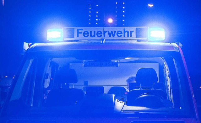 Die Zeller Feuerwehr rckte zwar aus, ...er nicht mehr entscheidend eingreifen.  | Foto: dpa