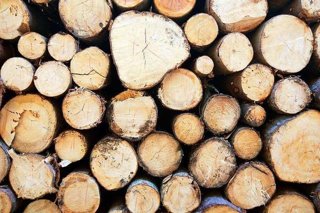 Holz: Der Baustoff, der gleich nebenan im Wald steht