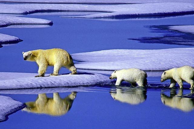 Der Klimawandel findet nicht nur in der Arktis statt