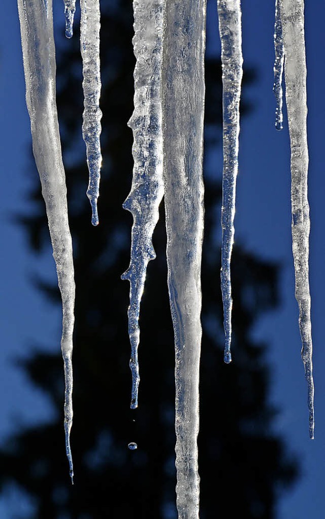 Im Schwarzwald knnen Zapfen auch aus Eis sein.   | Foto: dpa
