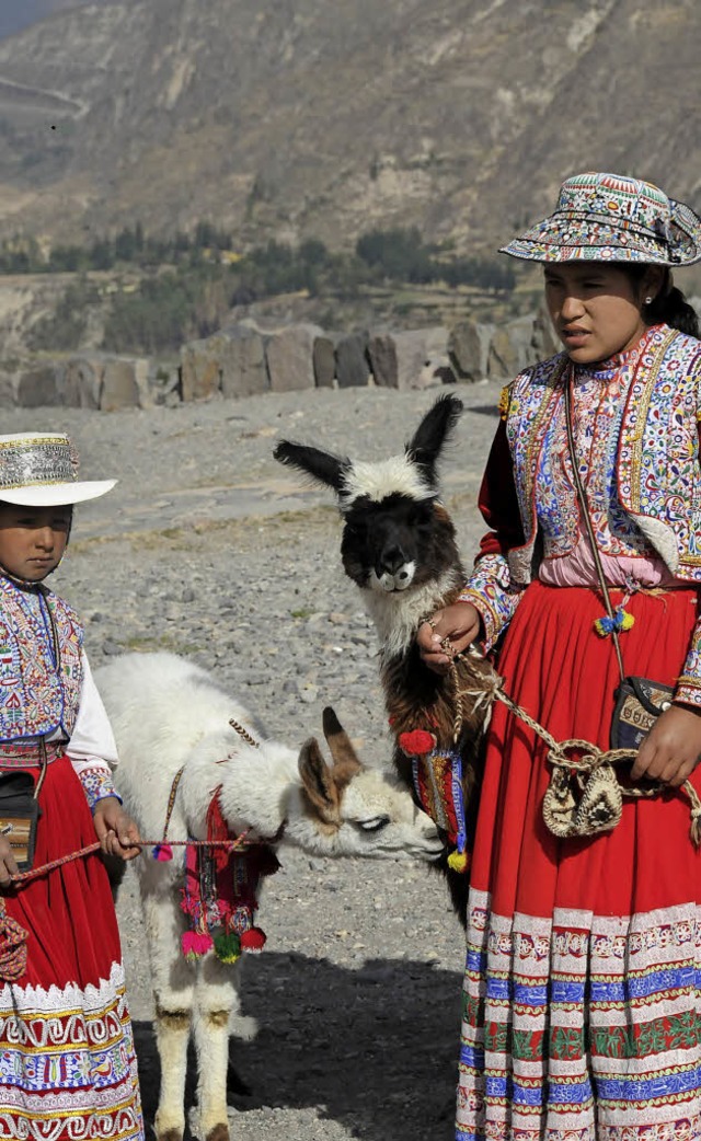 Das lndliche Peru ganz traditionell &...e Frau in Tracht und mit ihren Lamas.   | Foto: Andrea Schiffner/privat