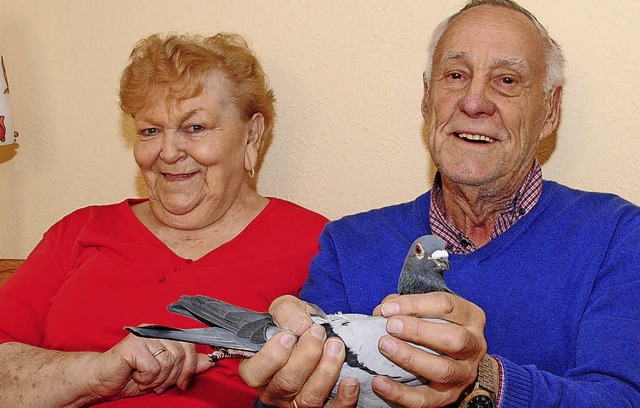 Marietta Stterlin und ihr Mann Heinz mit einer  Brieftaube.   | Foto: Sedlak