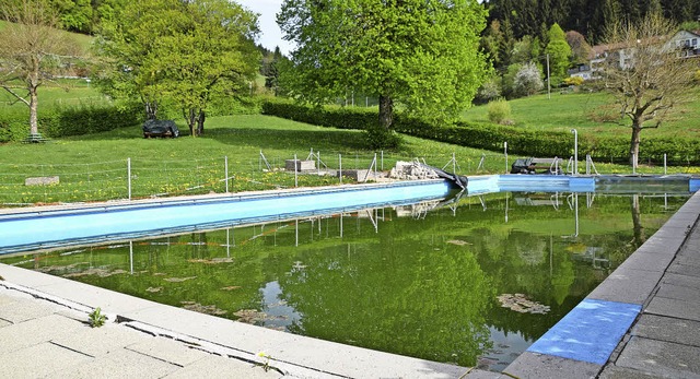 Noch ist das Becken im Schweigmatter Schwimmbad ein Frscheparadies.   | Foto: Stefan Ammann