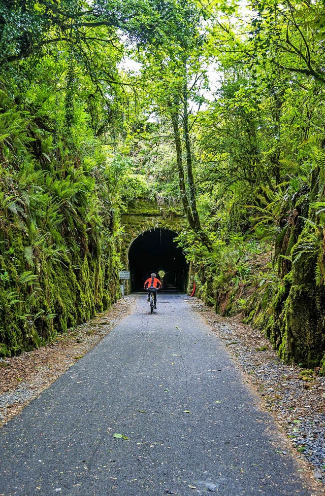 Tunnelfahrt: unterwegs auf dem  Waterford Greenway    | Foto: dpa