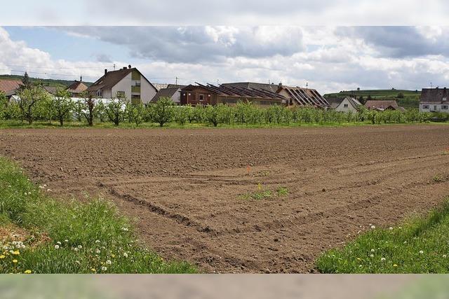 Protest gegen geplante Bebauung