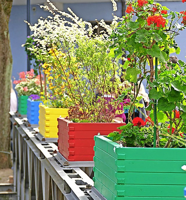 Blumen auf dem Ersatzbauwerk der Bernhardusbrcke   | Foto: H.-P. Mller