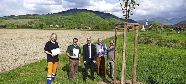 Harald Obenauer (Bauhof, von links), H...achs auf der Grunerner Streuobstwiese   | Foto: Victor Adolf