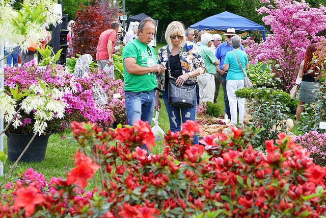 Gartenzauber 2017: Austausch ber die Ideen fr den eigenen Garten.  | Foto: Ulrich Senf