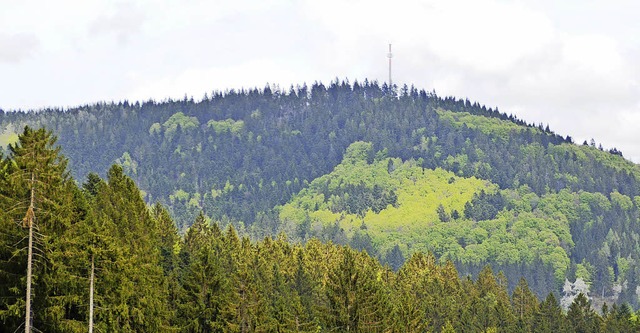 Zeller Blauen  | Foto: Edgar Steinfelder