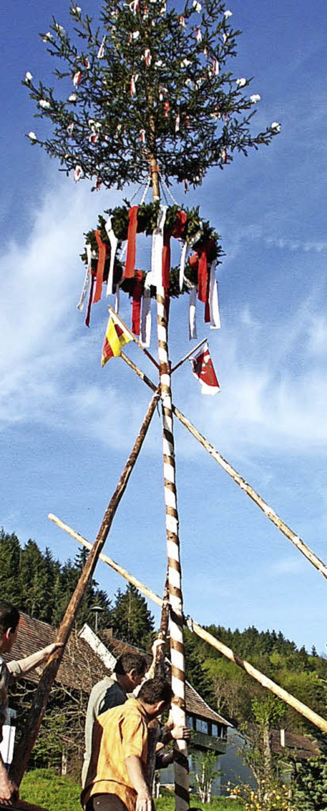 In Hofen wird am Montag wieder der Mai...exemplar zierte das Dorf im Jahr 2006.  | Foto: Dennis Wolf