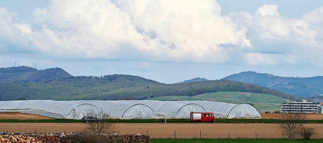 Folientunnel in der Rheinebene bei Bad...chutz vor Wetterextremen im Frhjahr.   | Foto: Markus Donner