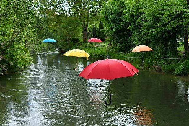 Wie kommen die Regenschirme ber den Ottenheimer Mhlbach?