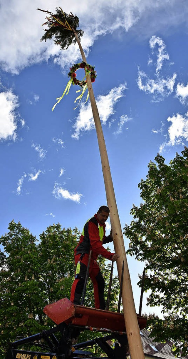 Andreas Biasutti beim Maibaumstellen   | Foto: Heinz Vollmar