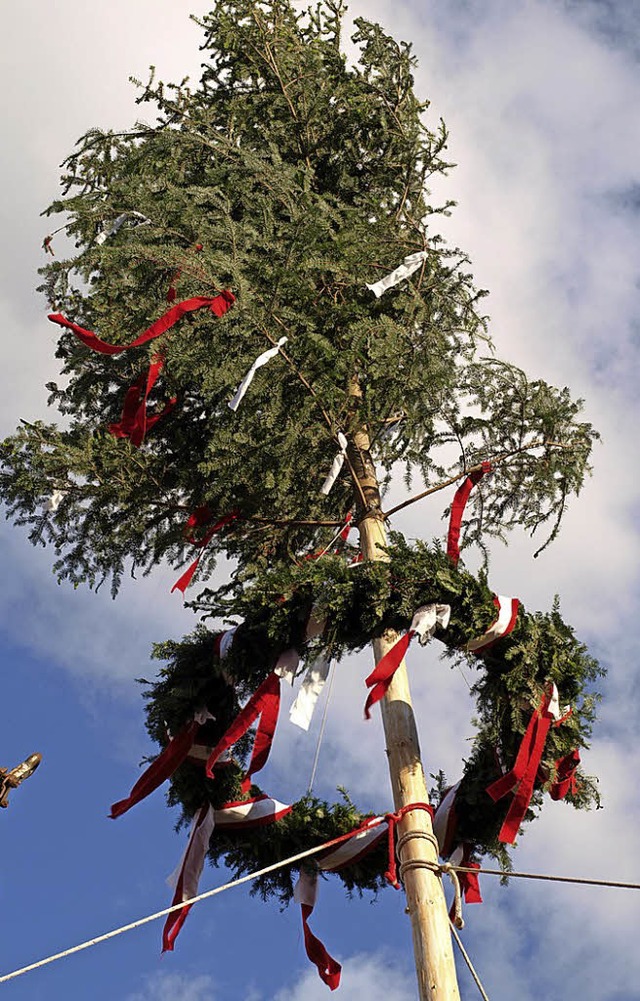 Der Brombacher Maibaum mit dem Festkranz   | Foto: Schleer