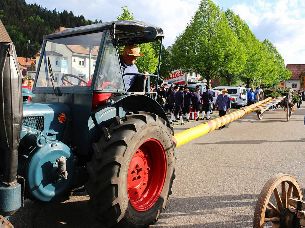 Den Maibaum zu stemmen, das geht nur mit vereinter Kraft vieler Vereine der Gemeinde.