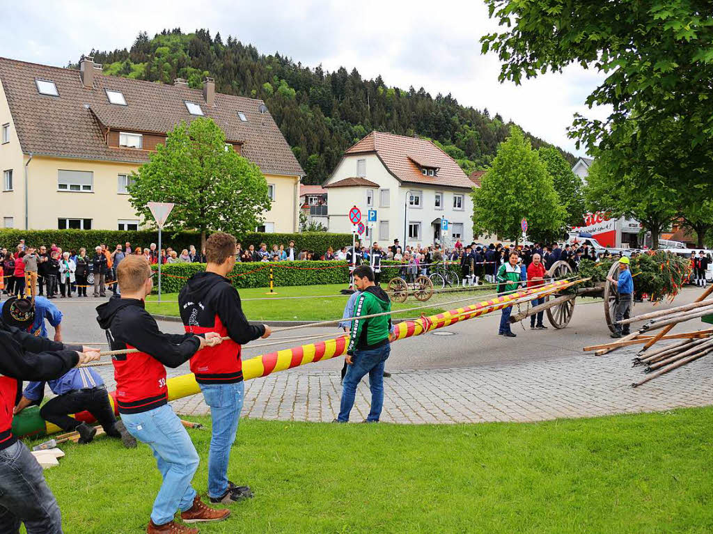 Den Maibaum zu stemmen, das geht nur mit vereinter Kraft vieler Vereine der Gemeinde.