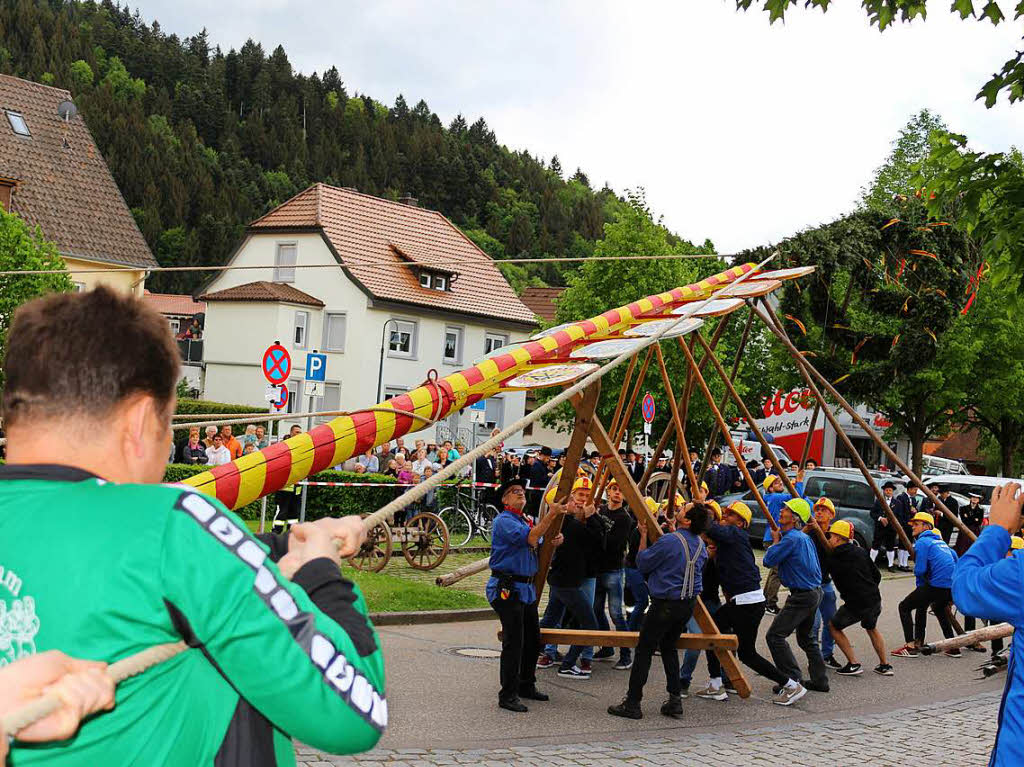 Den Maibaum zu stemmen, das geht nur mit vereinter Kraft vieler Vereine der Gemeinde.