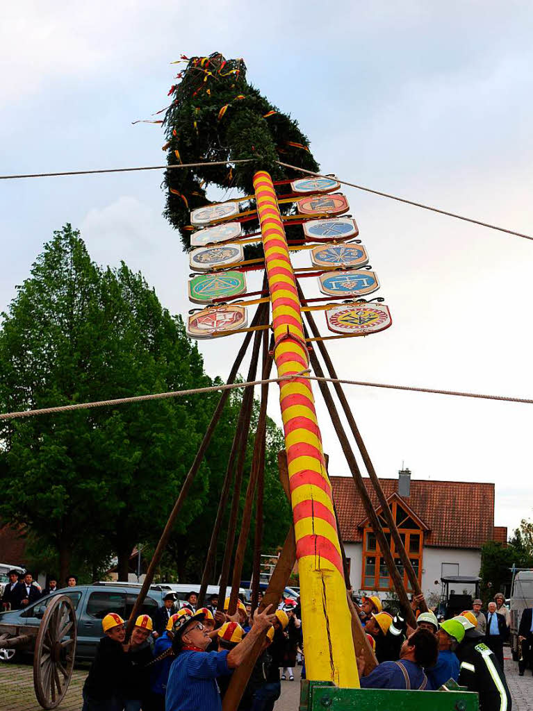 Den Maibaum zu stemmen, das geht nur mit vereinter Kraft vieler Vereine der Gemeinde.