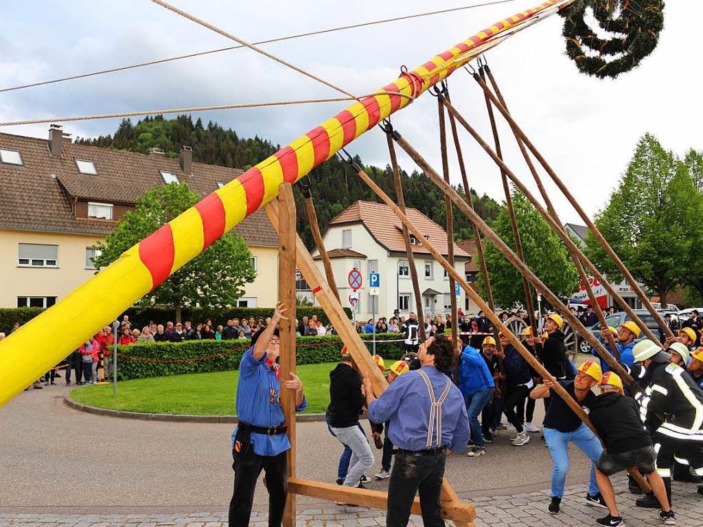 Den Maibaum zu stemmen, das geht nur mit vereinter Kraft vieler Vereine der Gemeinde.