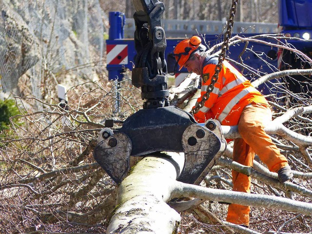 Die Baumfllarbeiten an der B317 waren herausfordernd, schreibt das Landratsamt.  | Foto: Sattelberger
