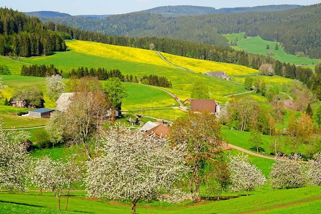 So zeigte sich der April im Siedelbach  | Foto: Paul G. Wiesenberg