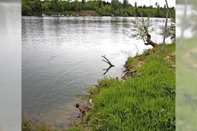 CDU will Steinufer fr das Rheinbad