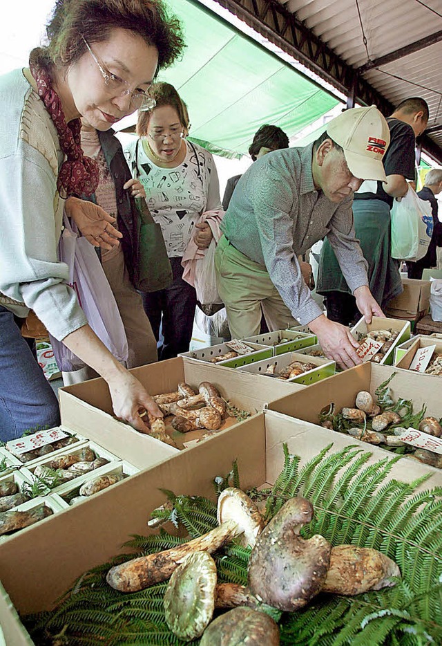 In Japan wird der Matsutake als teure Delikatesse gehandelt.   | Foto: dpa