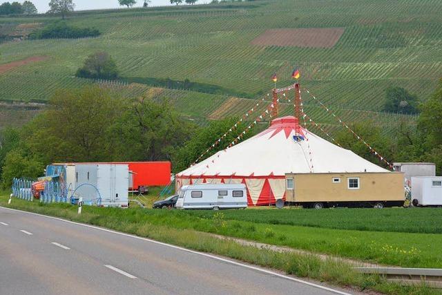 Der Circus Mustang ldt zur Vorstellung