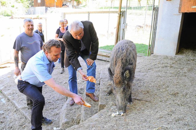 MPH-Leiter Michael Schreiner (vorne li...ister Peter Palme fttern Keiler Andi.  | Foto: Nicolai Kapitz