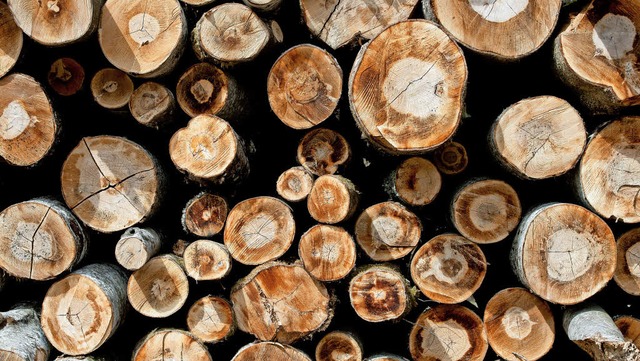 Der Holzpreis ist im vergangenen Jahr leicht gesunken.  | Foto: Sven Hoppe (DPA)
