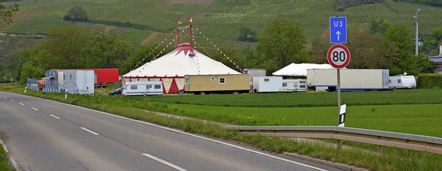 Der Circus Mustang hat seine Zelte bei Efringen-Kirchen aufgeschlagen.   | Foto: Lauber