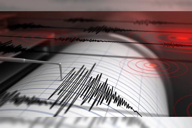 Leichtes Erdbeben erschttert Sdbaden