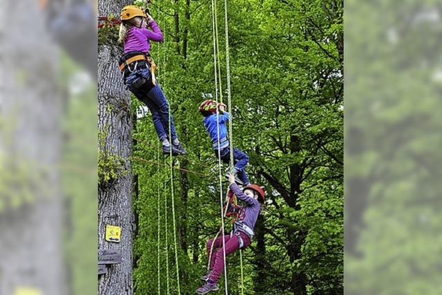 Heute findet der Waldtag statt